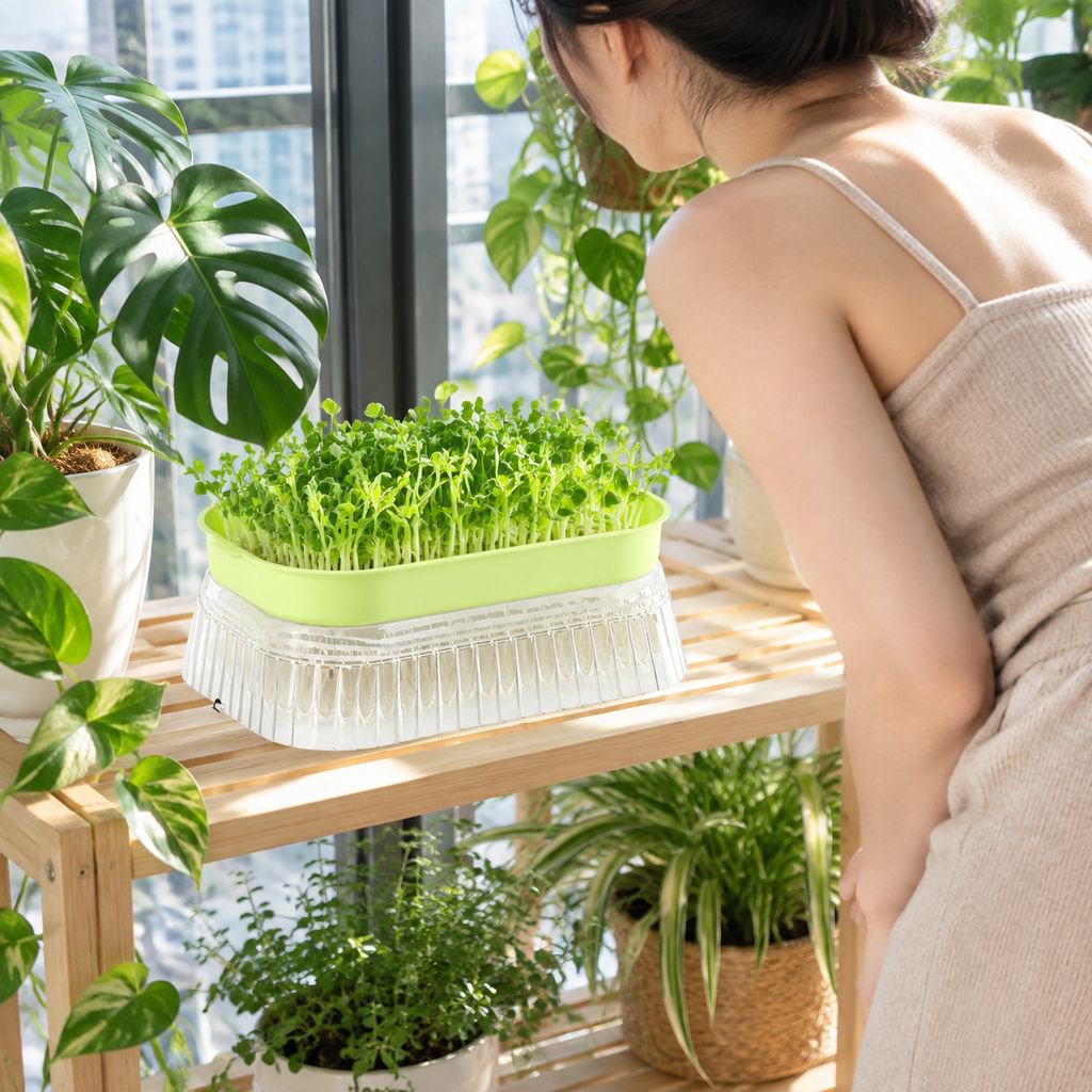 Elegant design of the hydroponic planter on a kitchen countertop