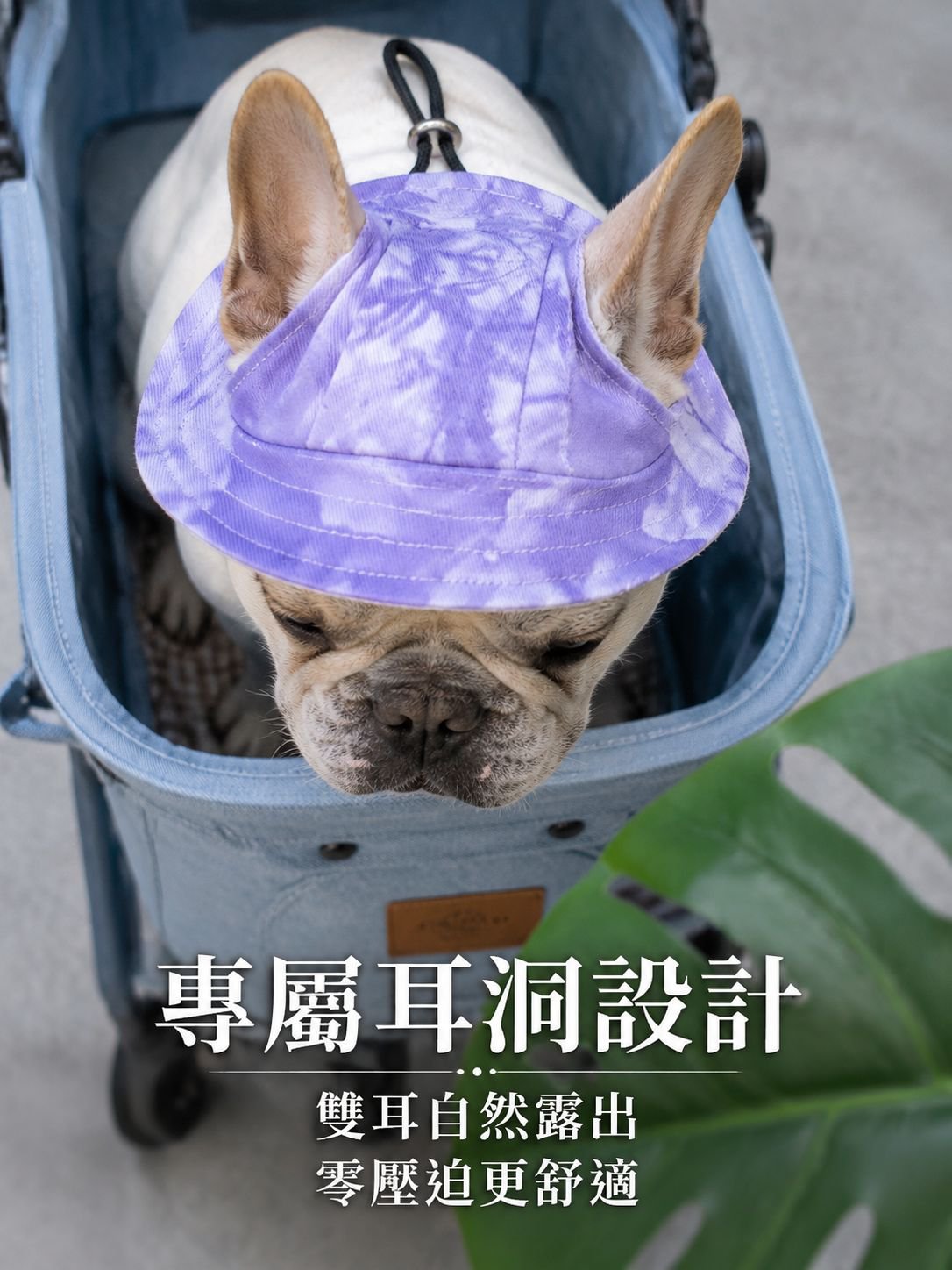 防曬遮陽寵物帽子