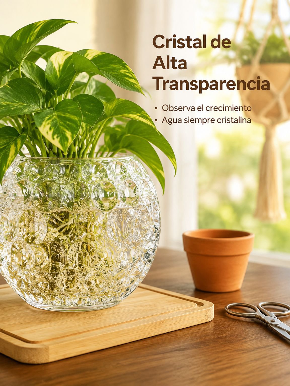 Florero de vidrio redondo transparente para plantas hidropónicas, diseño creativo