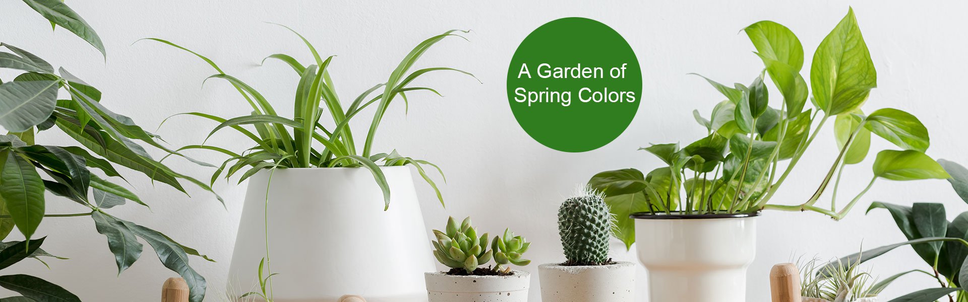 Online shopping MALL