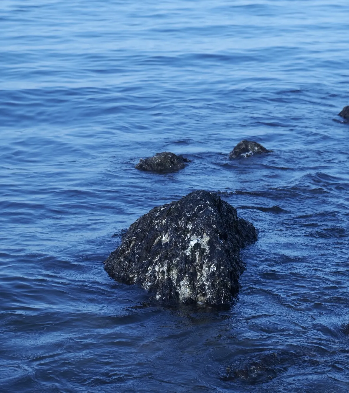 Centro comercial en línea