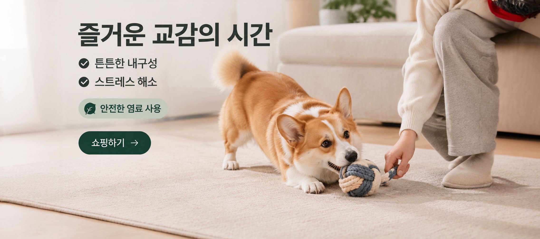 Olvarena | 반려동물과 따뜻한 일상을 위한 선택