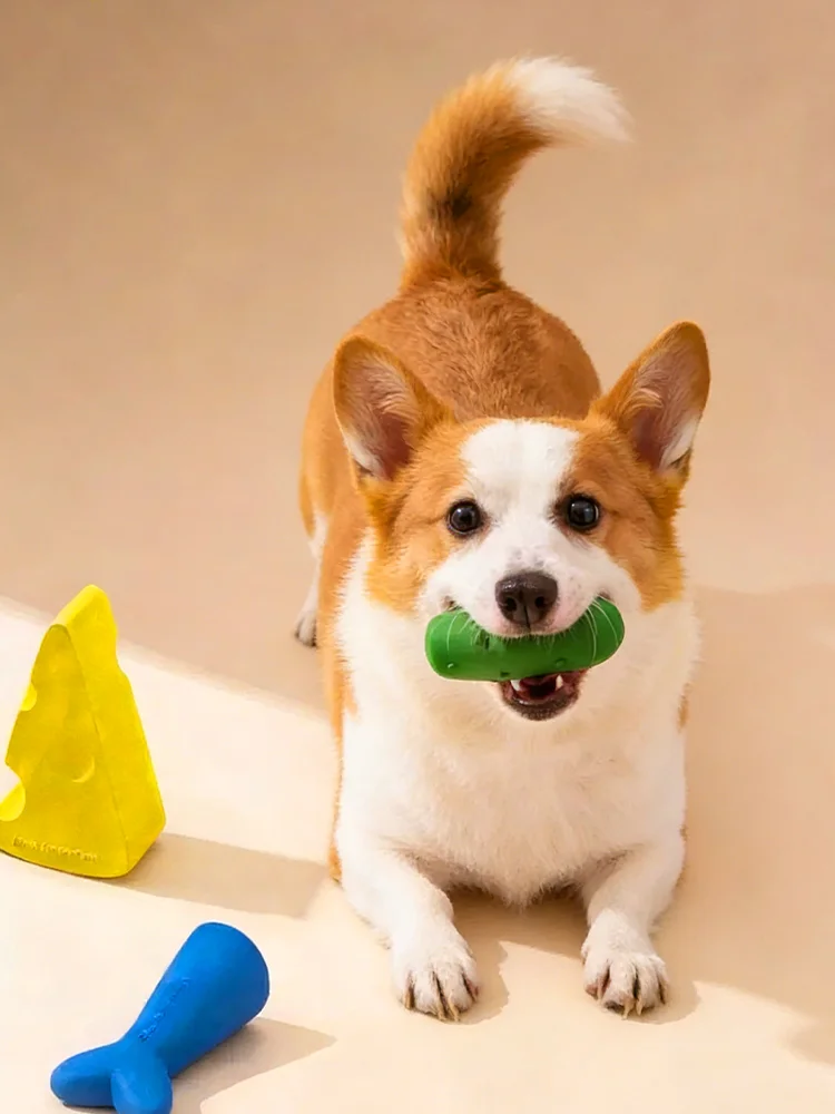 ศูนย์การค้าออนไลน์