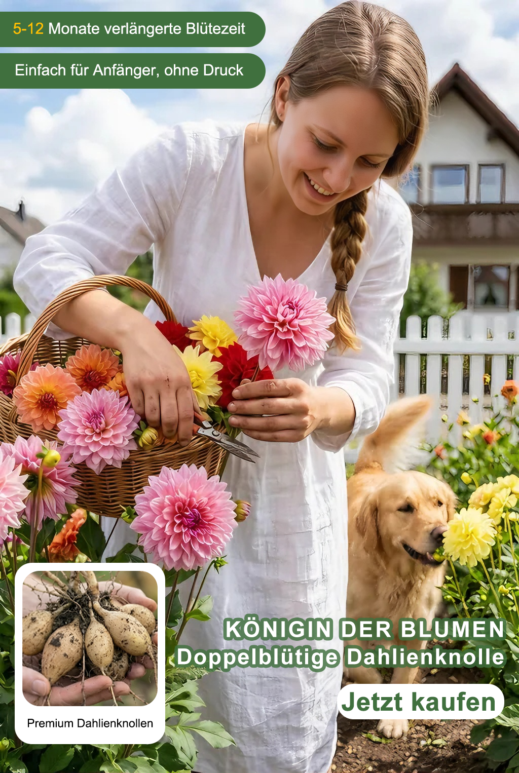 Hochwertige Pflanzgefäße für Ihr Zuhause – Große Auswahl online,Effiziente Gartenwerkzeuge für Hobbygärtner – Praktisch & robust,Vielfältige Blumensamen für farbenfrohe Gärten – Jetzt entdecken
