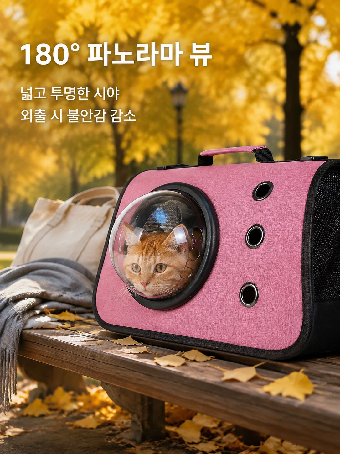 휴대용 접이식 고양이 외출 가방