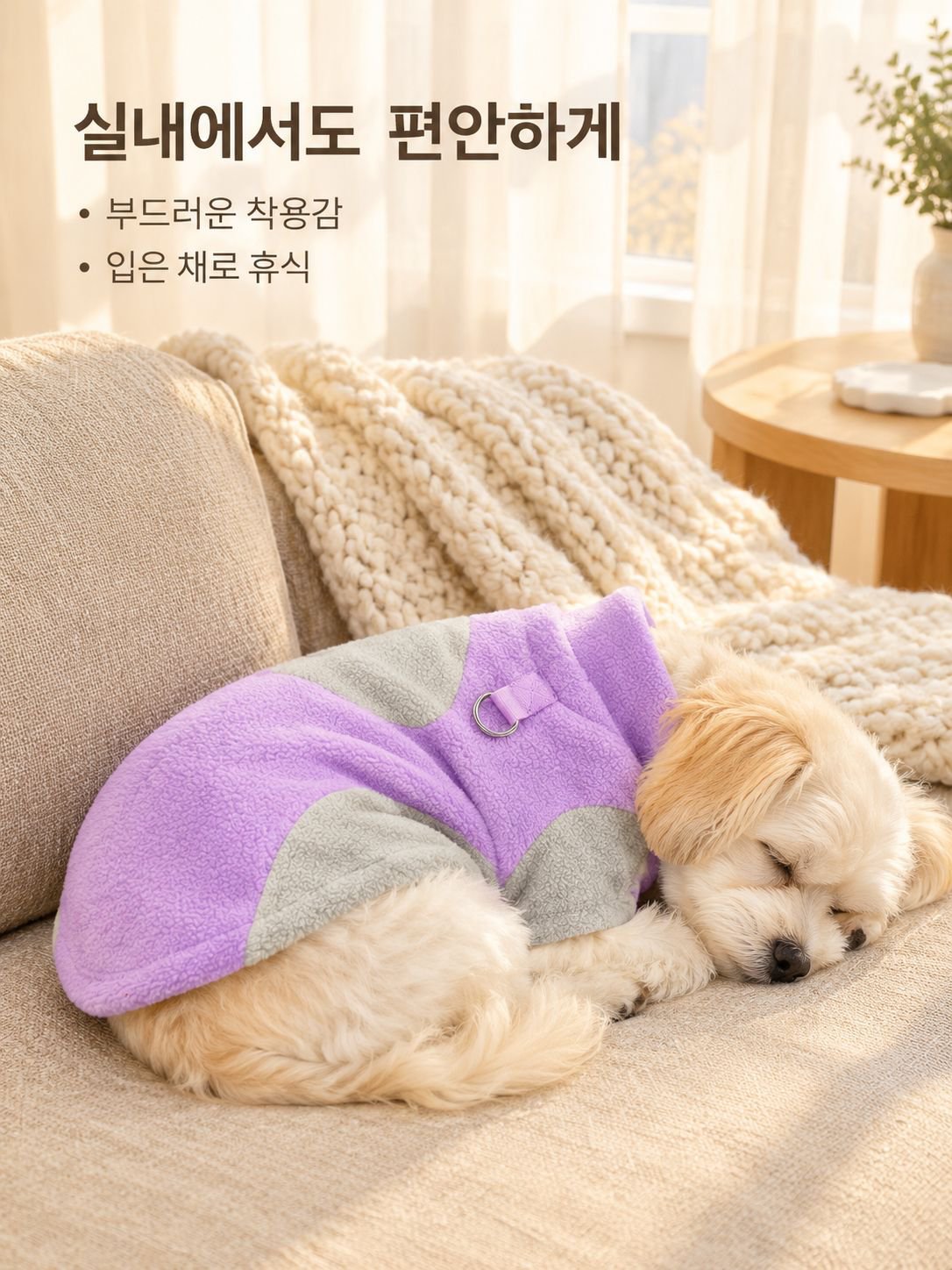 강아지와 고양이 모두에게 적합한 가을·겨울 의류