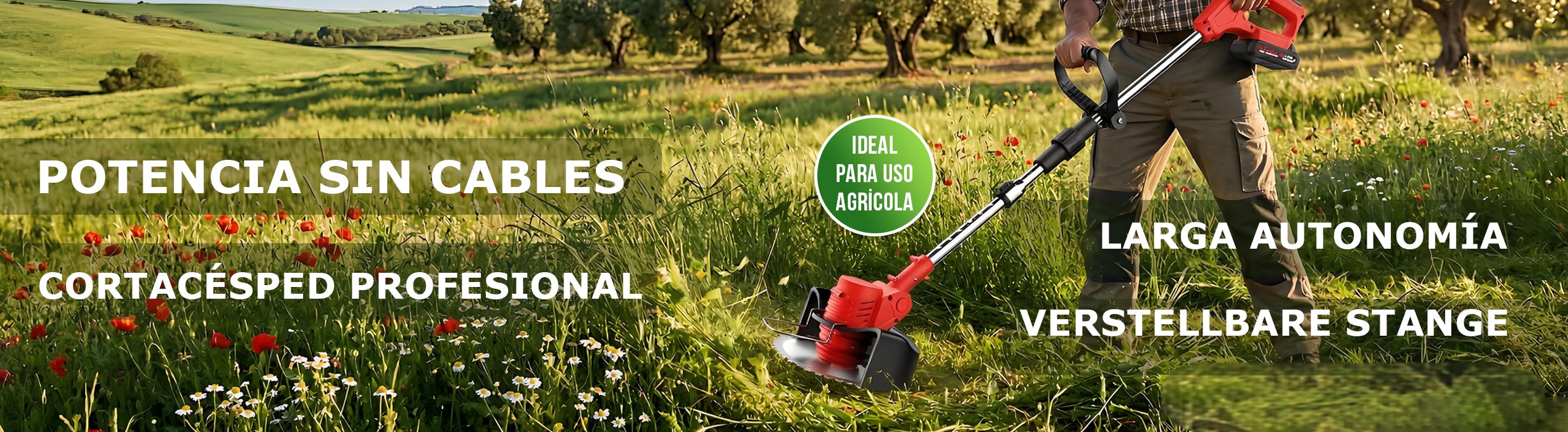 Herramientas eléctricas para tu jardín al mejor precio,Cuidado personal con tecnología avanzada,Compra electrodomésticos para cocina online,Soluciones eléctricas para limpieza eficiente