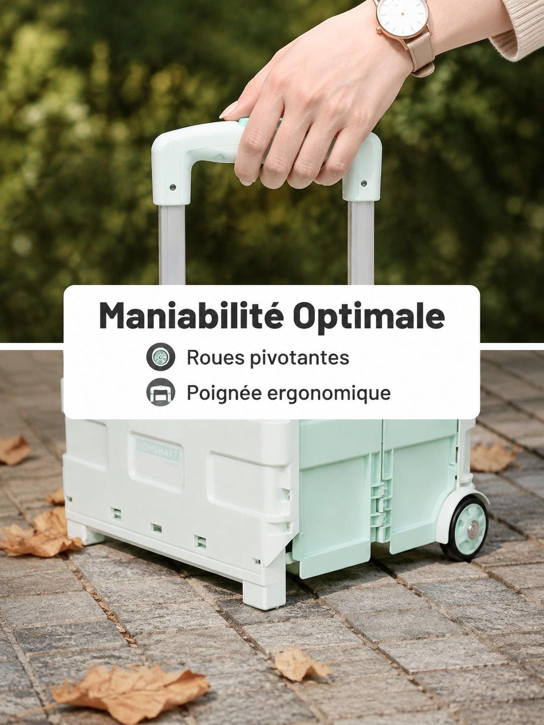 Petit chariot portable pour faire les courses