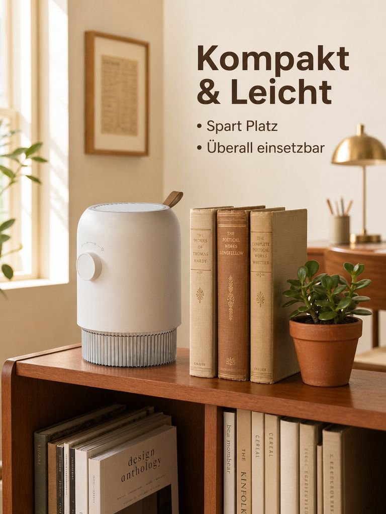 Halbleiter-Leise-Luftentfeuchter