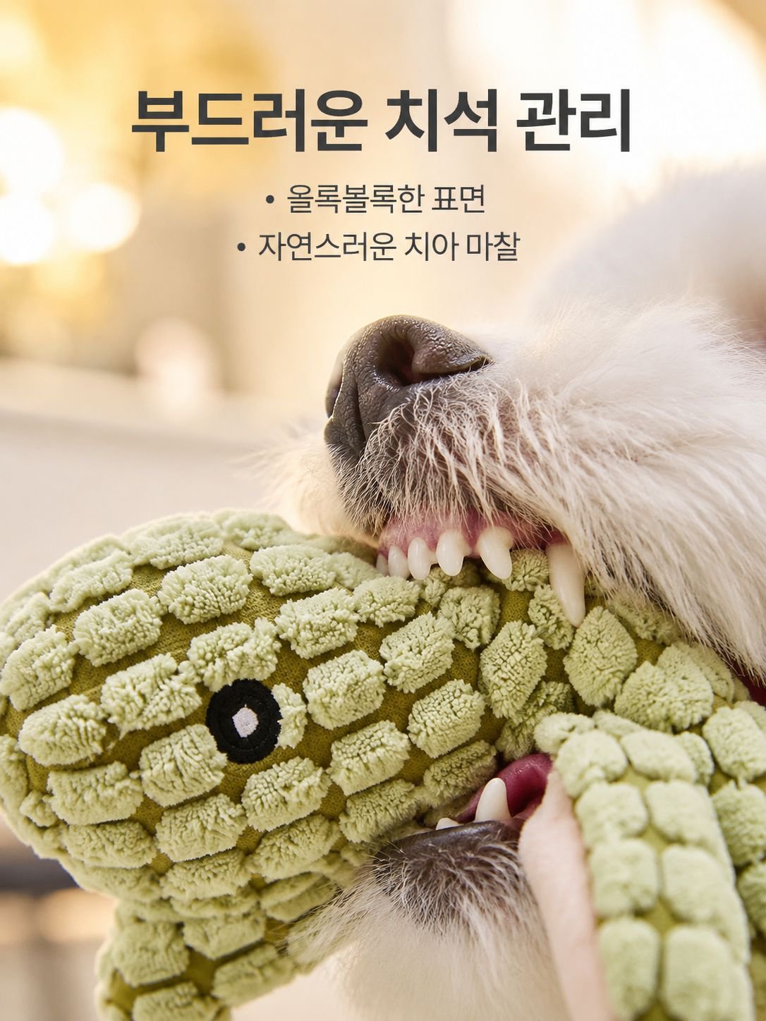 견고한 공룡 개 장난감