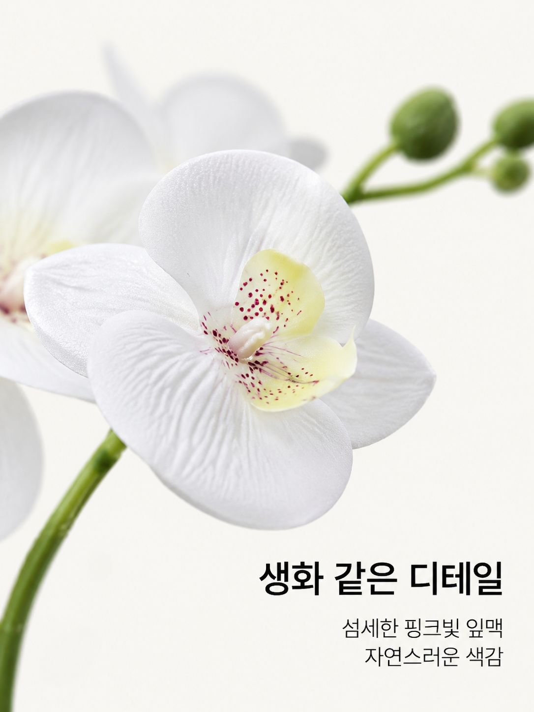 가벼운 사치감 9마리 호접란 모조 꽃다발