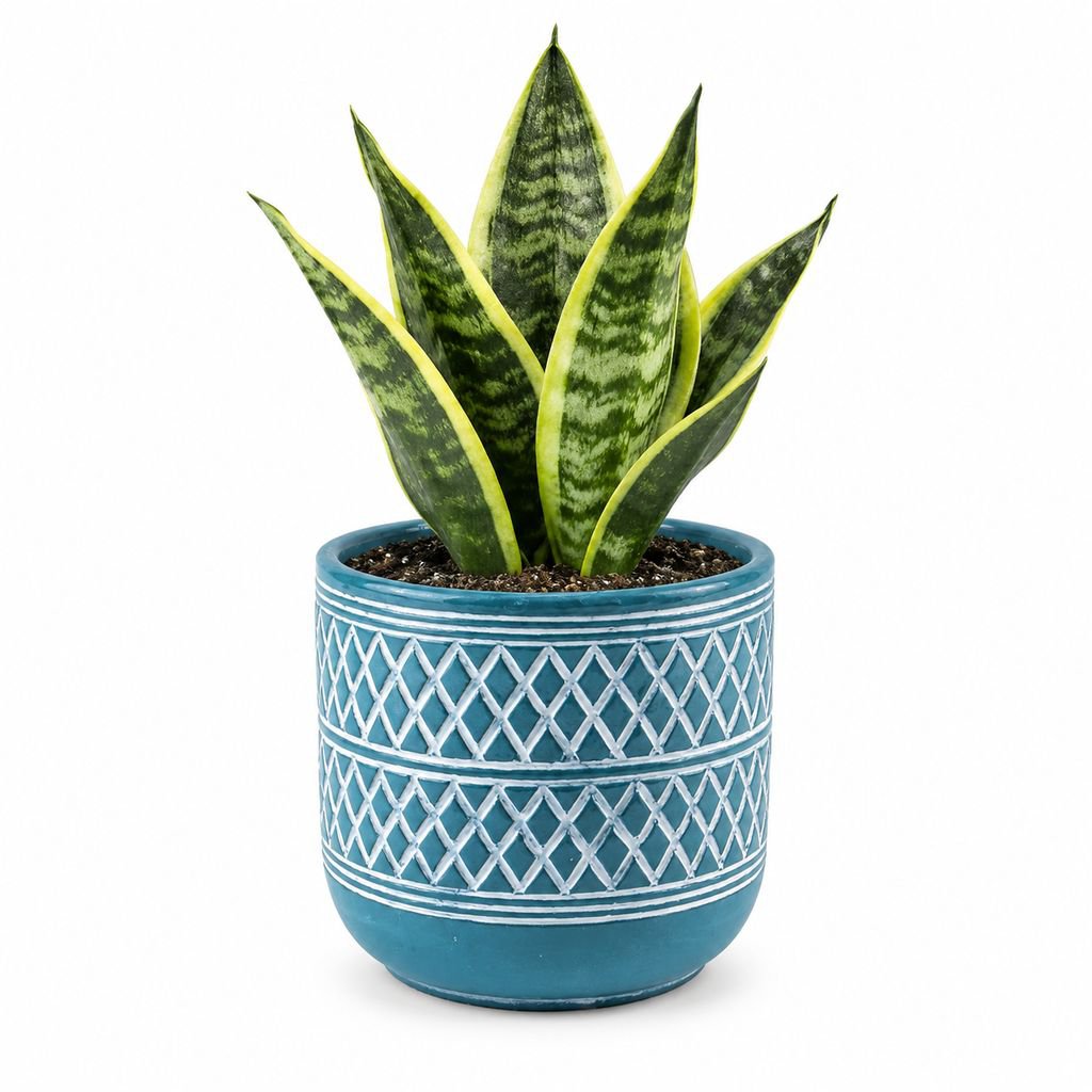 Indoor Balcony Creative Ceramic Green Plant Pot
