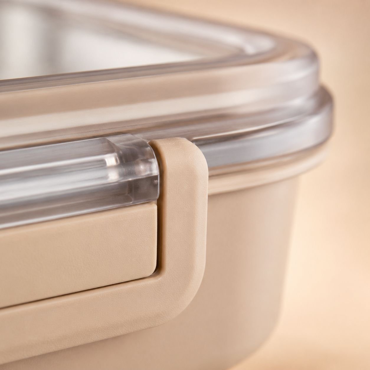 Eco-friendly and reusable insulated lunch box