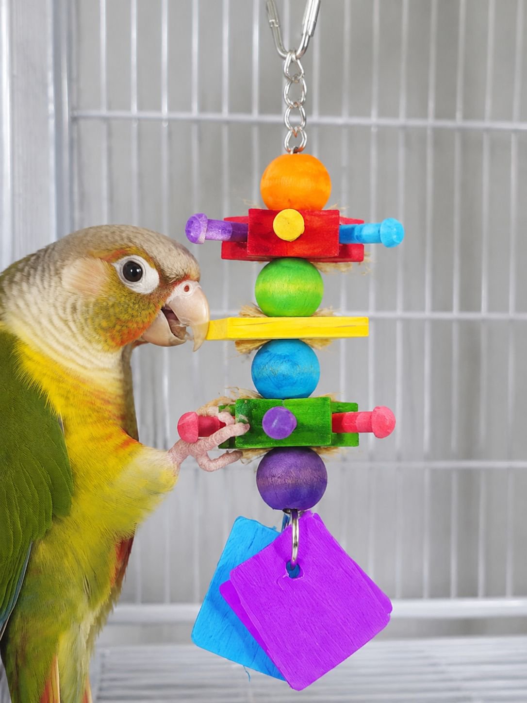 Parrot Colorful Chewing Toy Stand, Cockatiel Tiger Skin Peony Educational Toy, Claw Sharpening and B