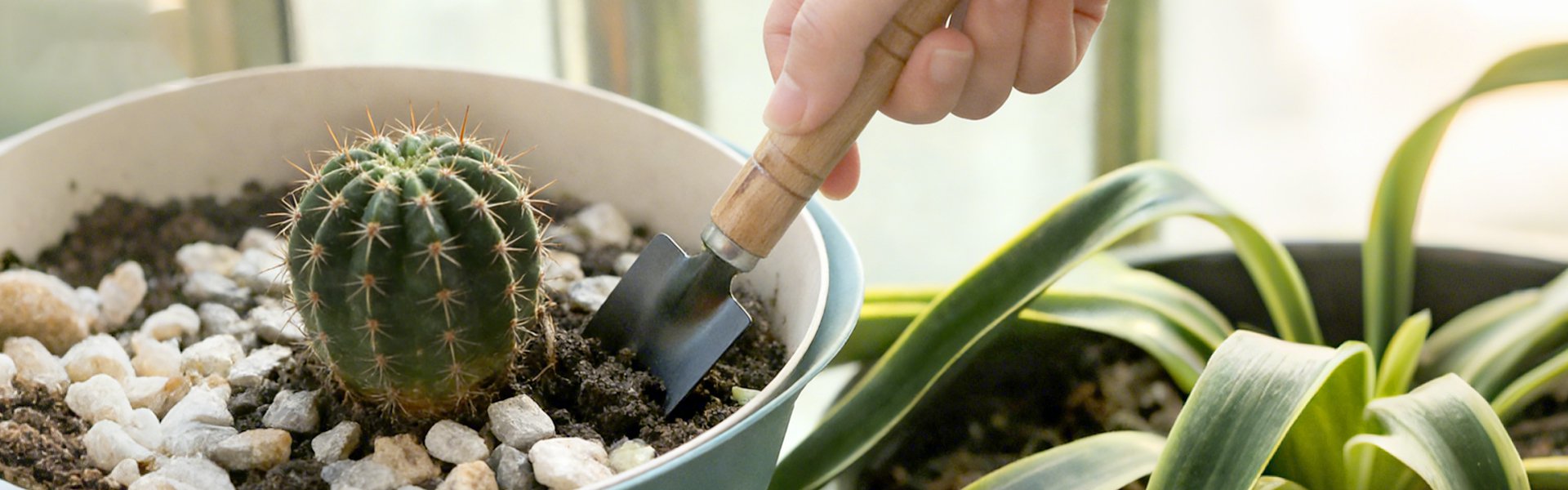 オンラインショッピングモール