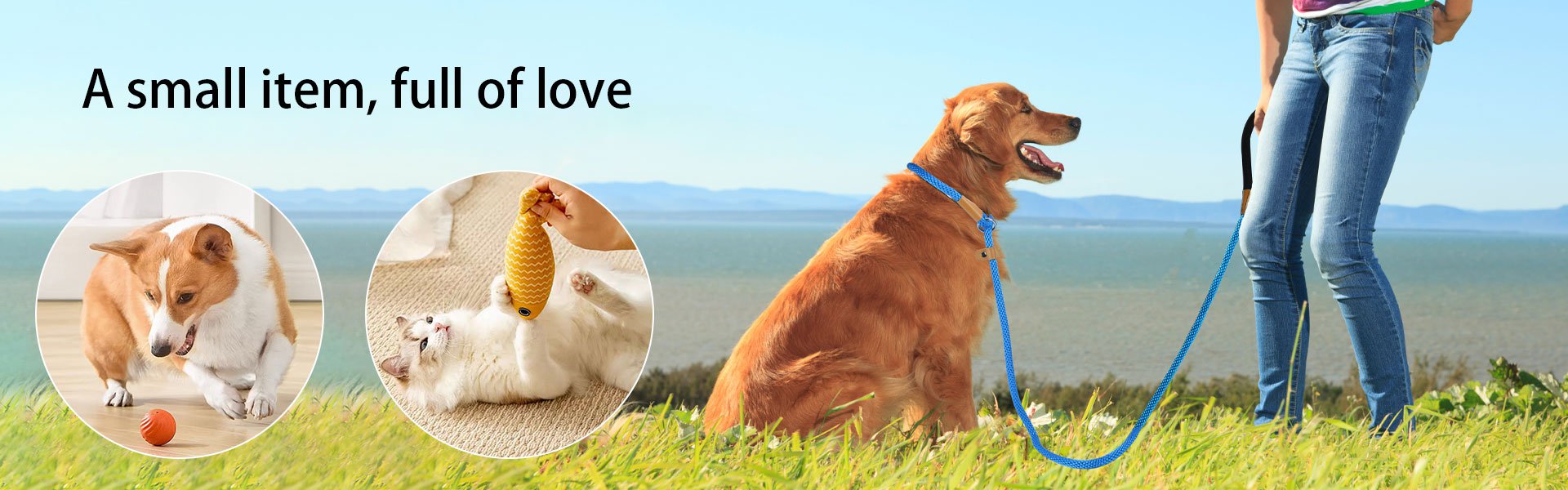 Online shopping MALL