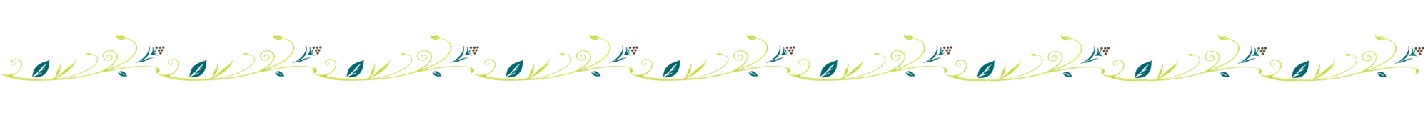fluxelyt
