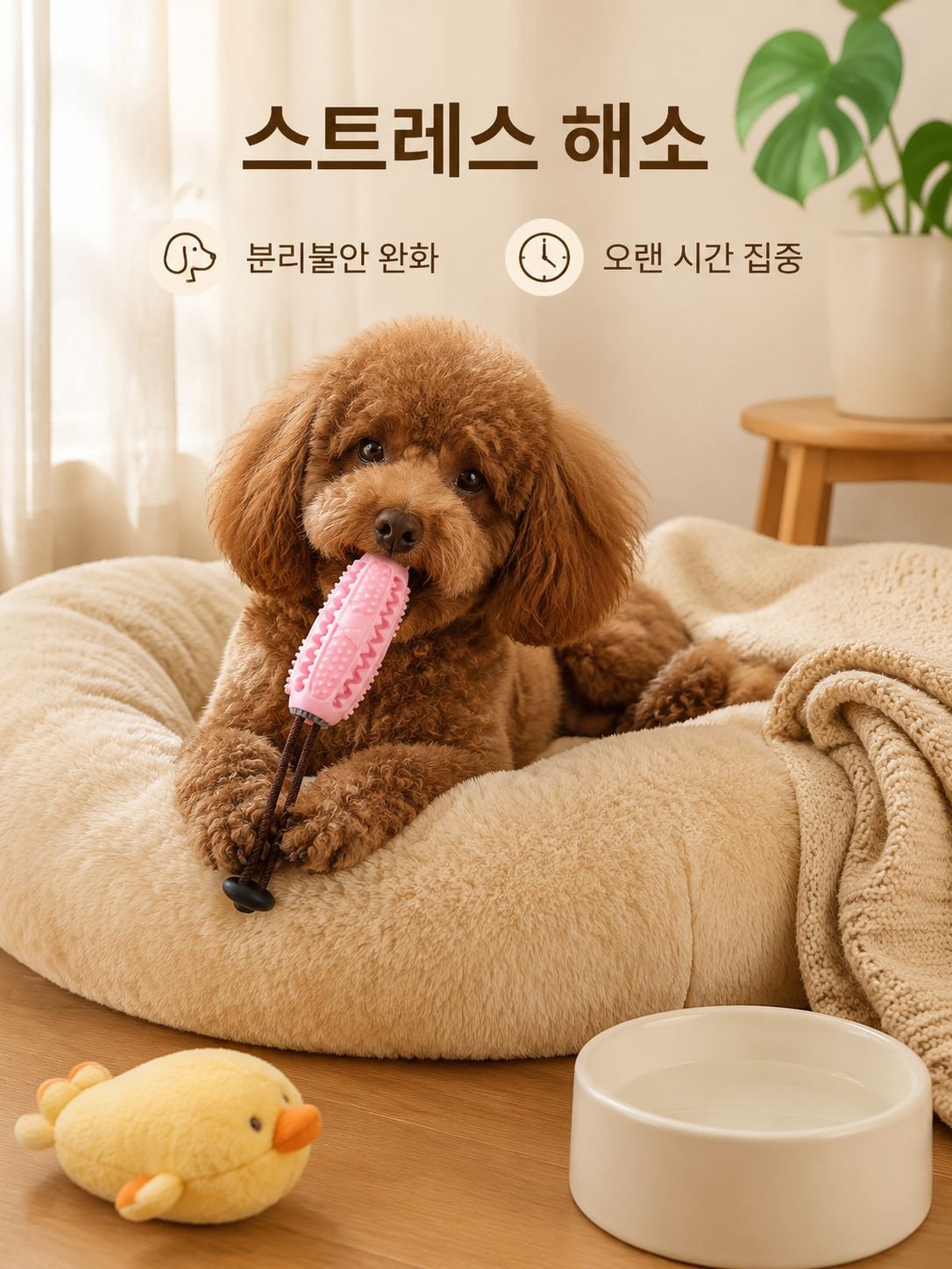 반려동물용 올리브 씹는 장난감