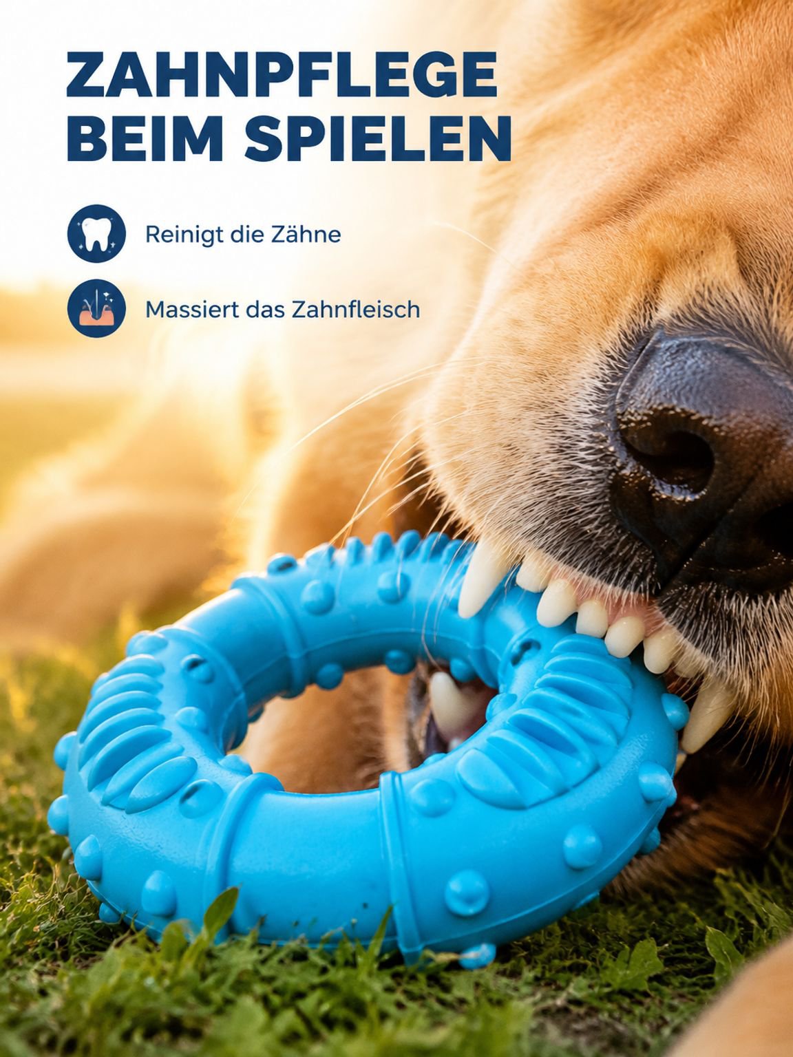 Quietschender Rugby-Ball aus Gummi für Hunde