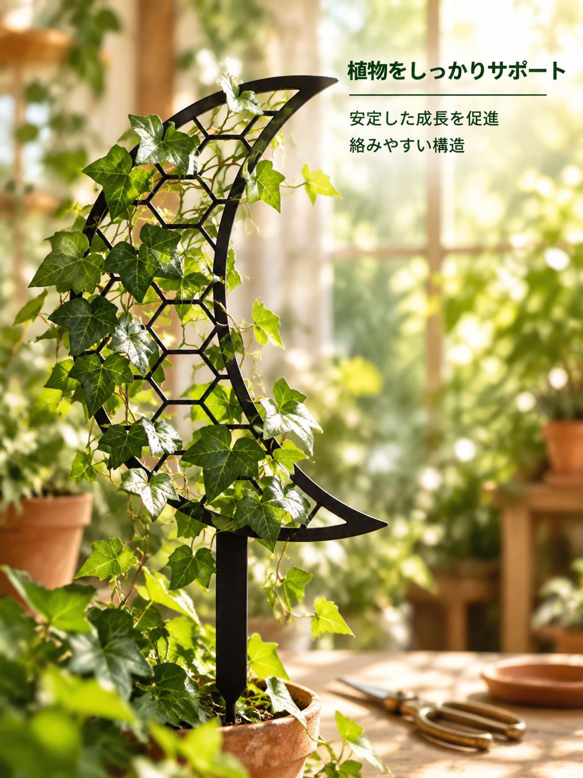 月の登攀用トレリス