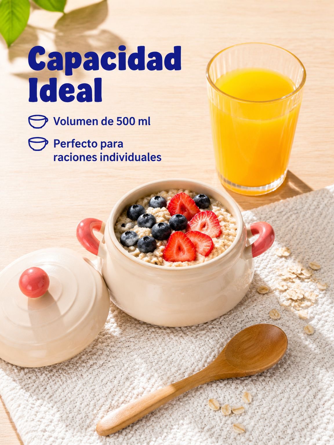 Cuenco de porcelana Tao