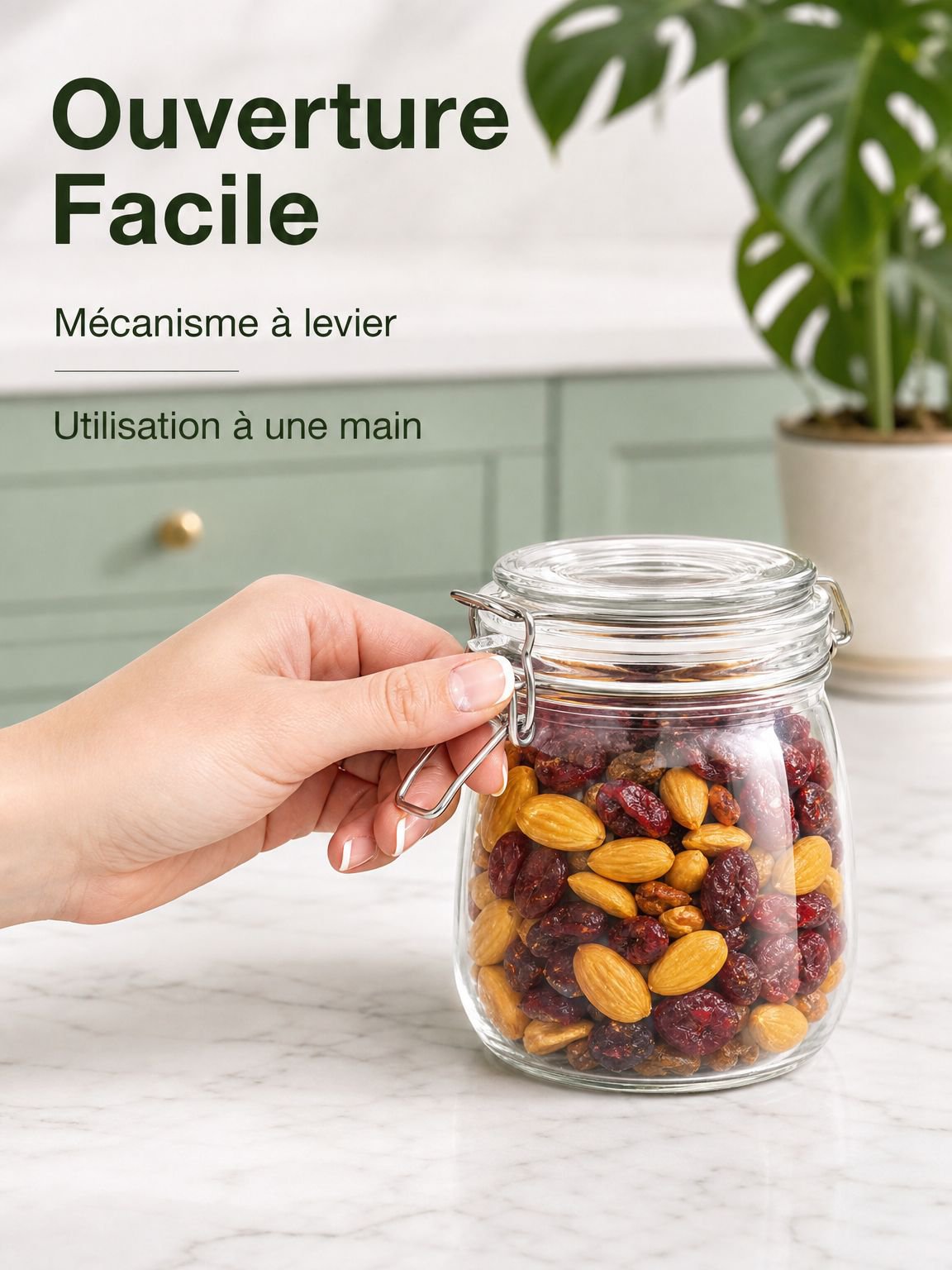 Bocal de conservation alimentaire avec fermeture en acier