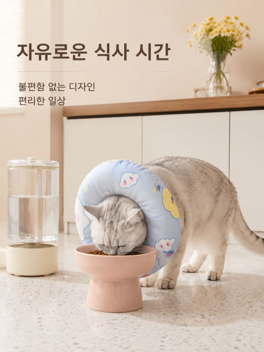 반려동물 핥기 방지 목걸이