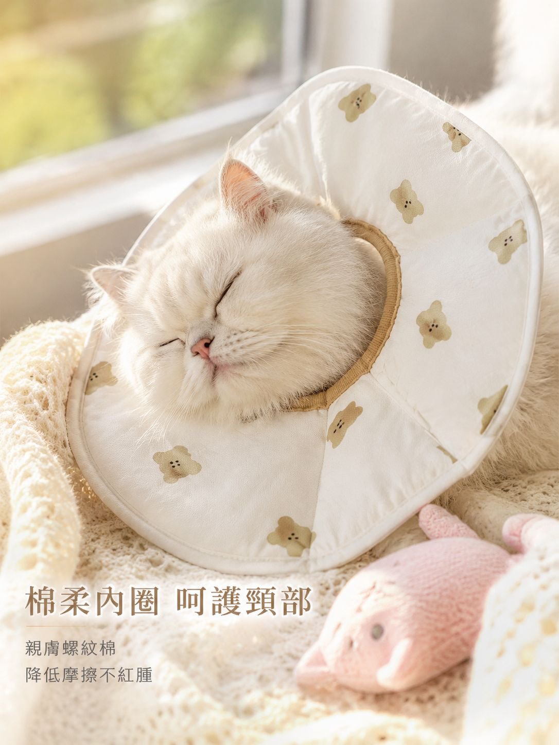 貓用防抓防舔保護圈