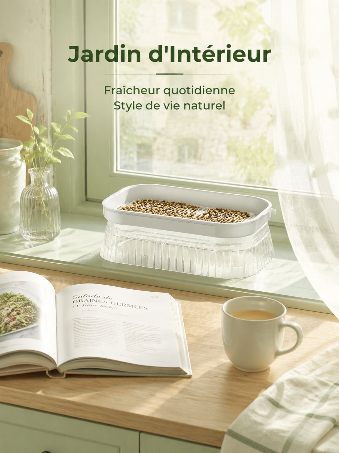 Plateau de germination hydroponique pour pousses de haricots, sans terre