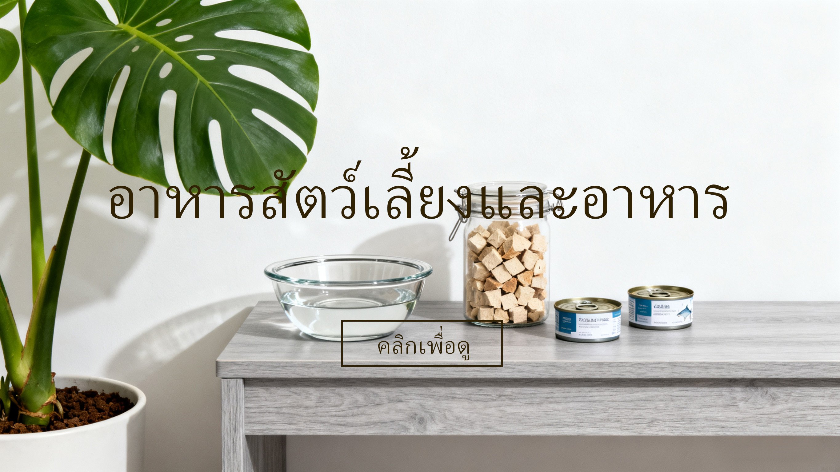 zexo-shop.com