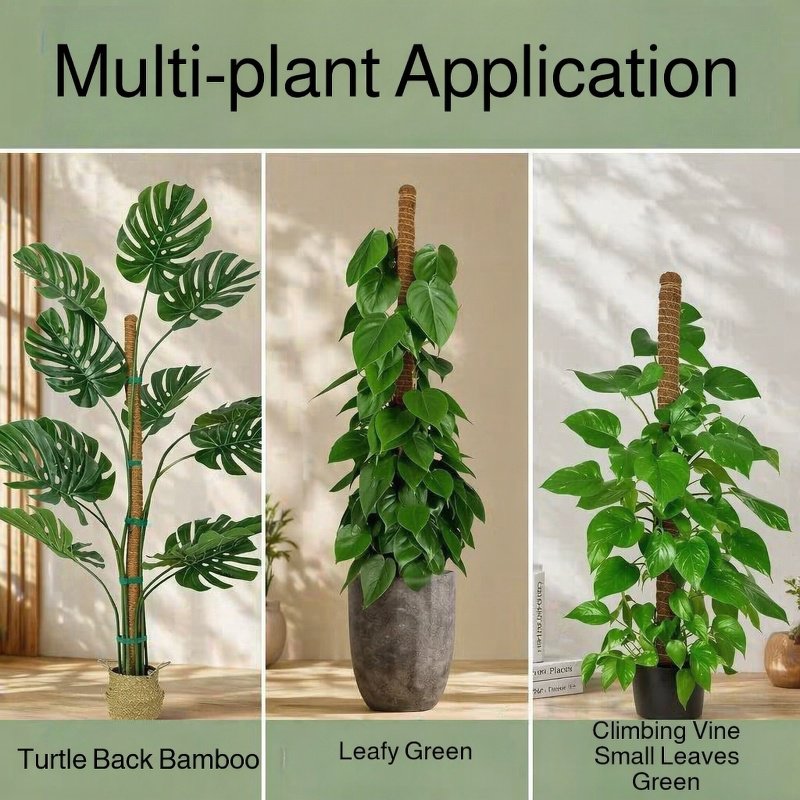 Versatile plant support for vines and aroids