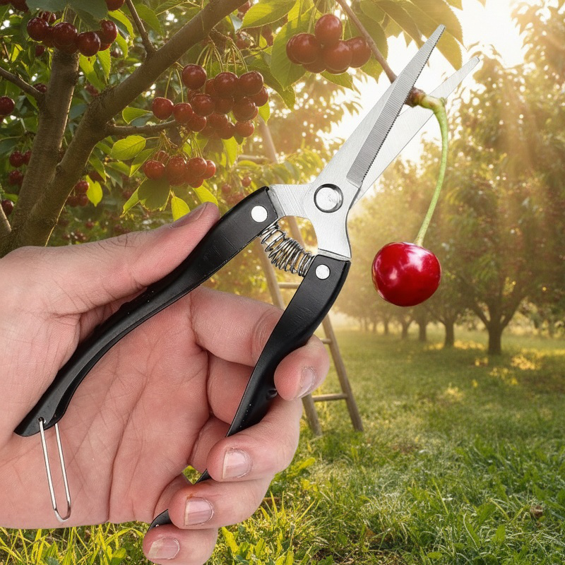 Multifunktionale Edelstahlschere für dicke Äste und Obst