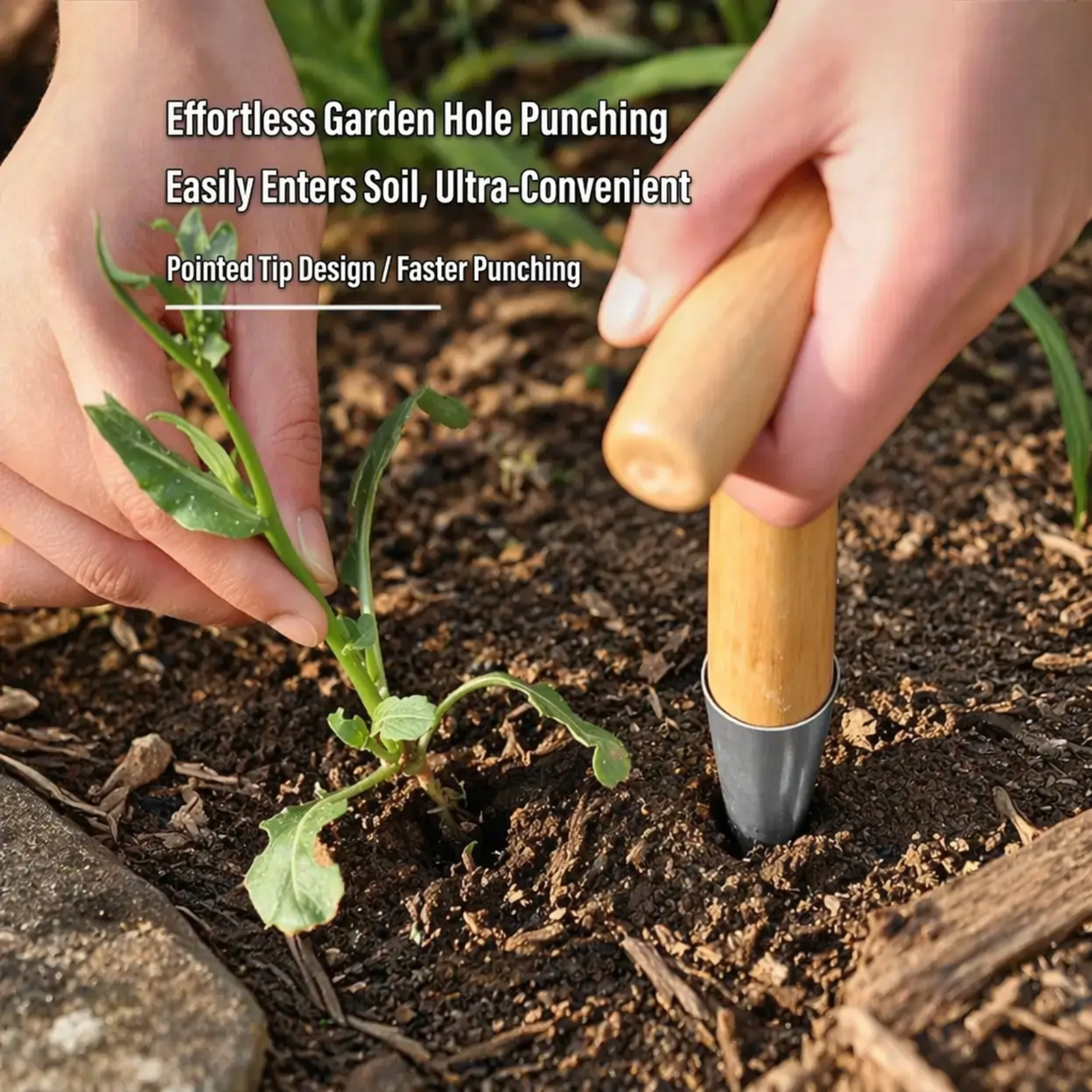 Professional stainless steel planting equipment