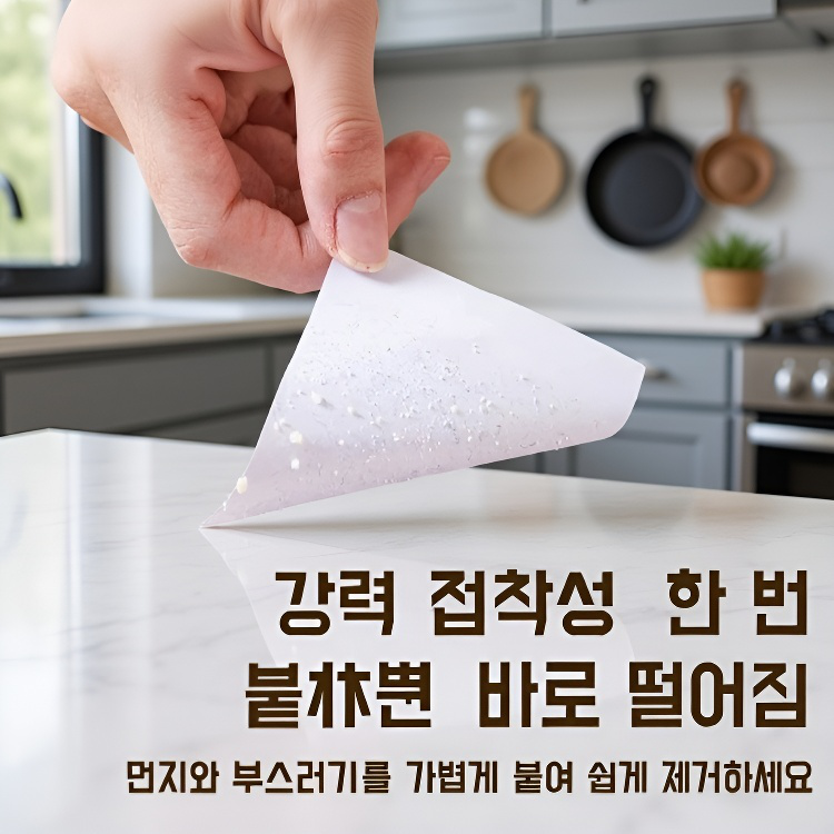  휴대용 떼어낼 수 있는 털 제거기