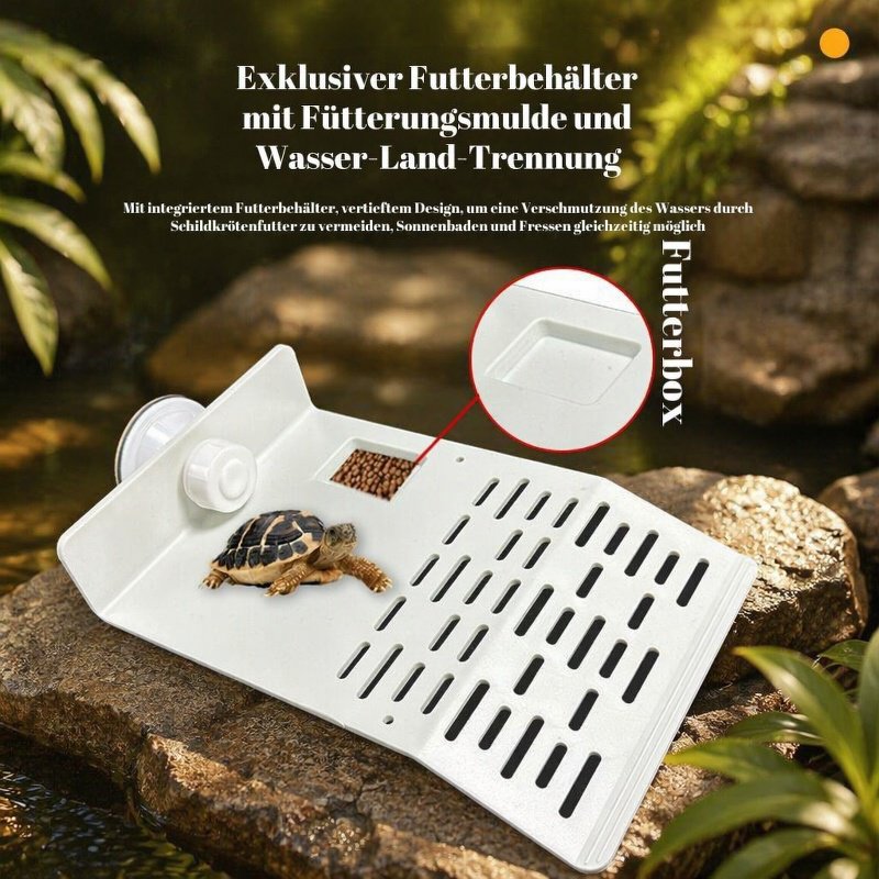Einfache Installation der Schildkrötenplattform