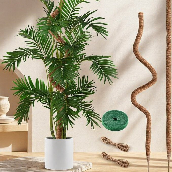 Tuteur créatif pour Monstera, support d'escalade pour plantes