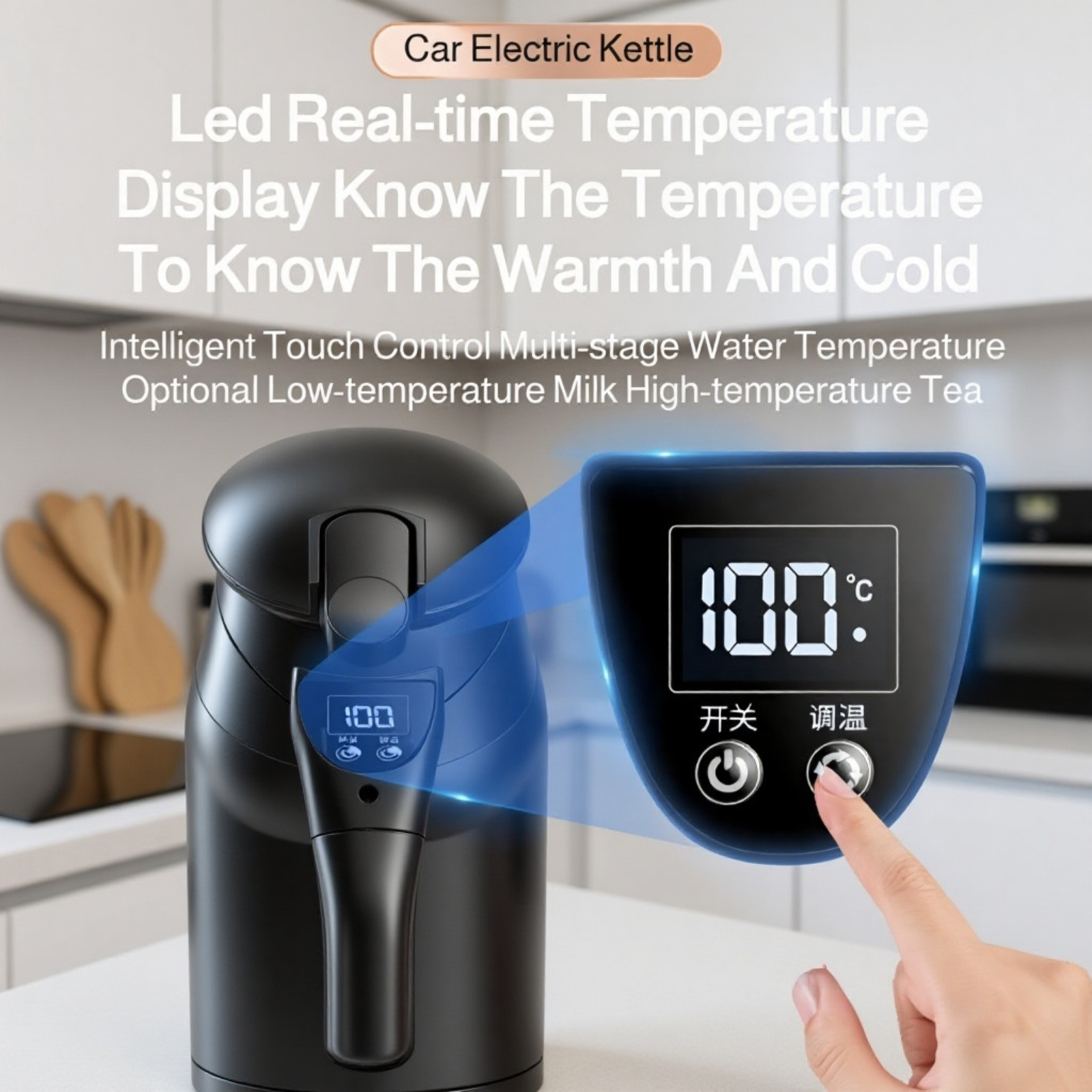 Portable Car Heating Kettle