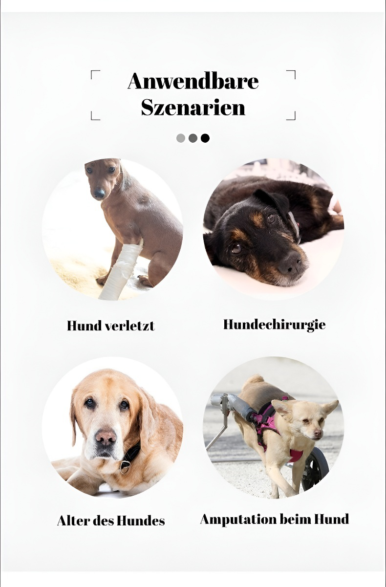 Sicheres und verstellbares Hundegeschirr