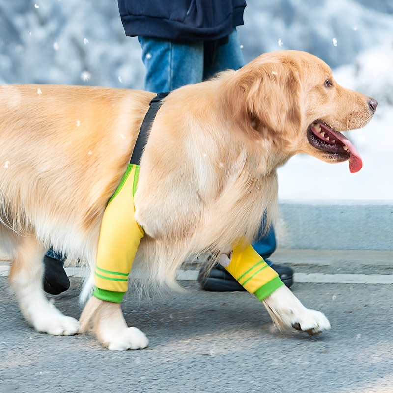 ปลอกคอสุนัขหัวเข่าขนาดใหญ่