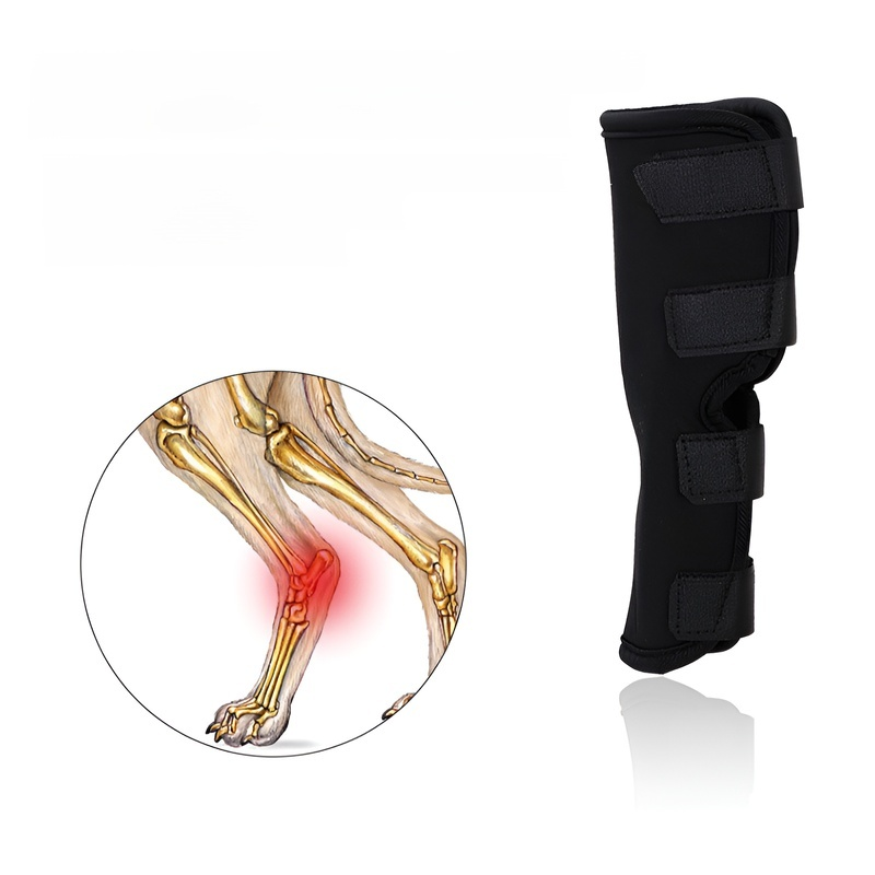 犬の脚プロテクター