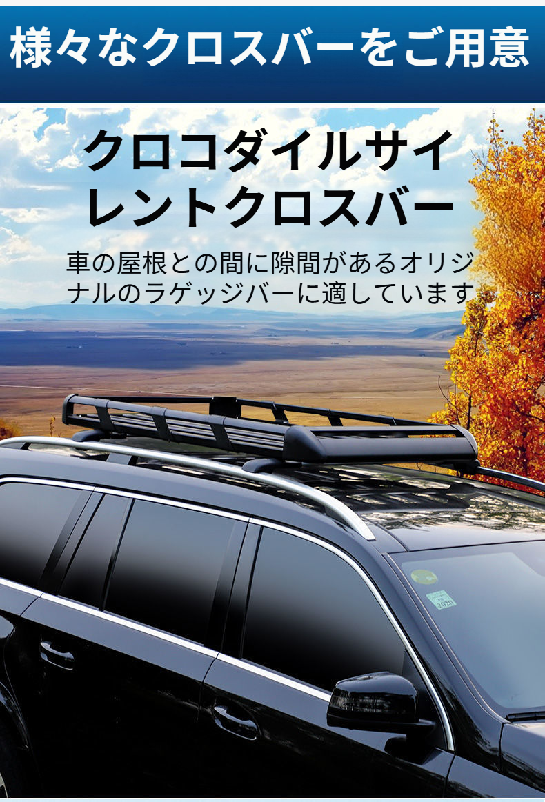 軽自動車に装着したルーフキャリアのサイドビュー