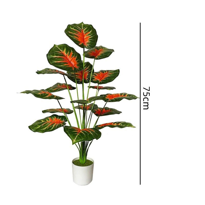 대형 실내 야자수 분재