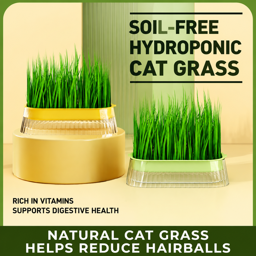Hydroponic boxes for bean sprouts, hydroponic trays for soilless cultivation, seedling trays for veg