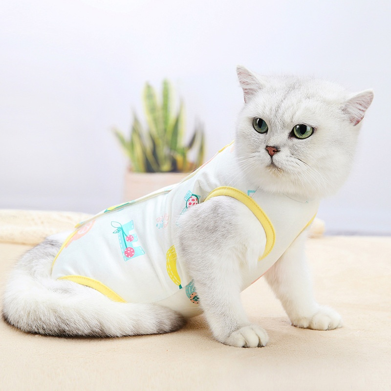 避妊・去勢手術を受けるメス猫用の暖かい服