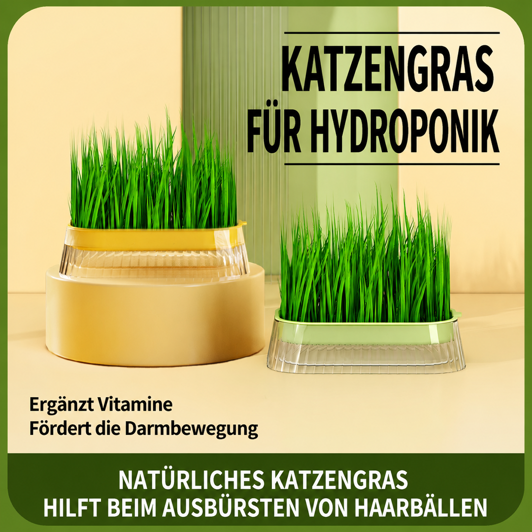 Hydroponische Anzuchtschale für Sprossen