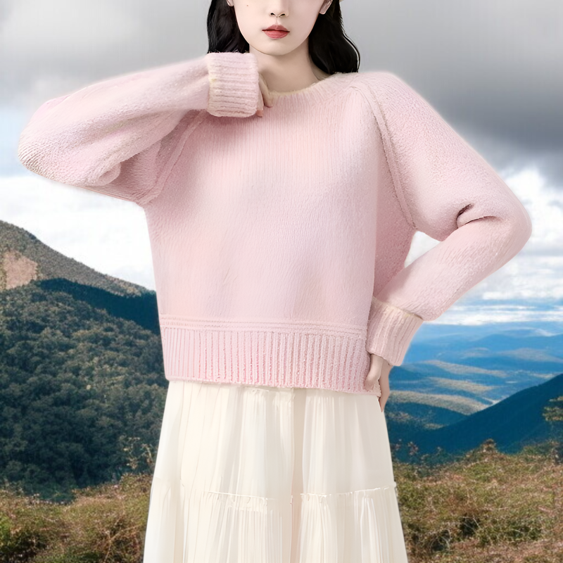 ラウンドネックカラーブロックプルオーバーニットセーター着用画像