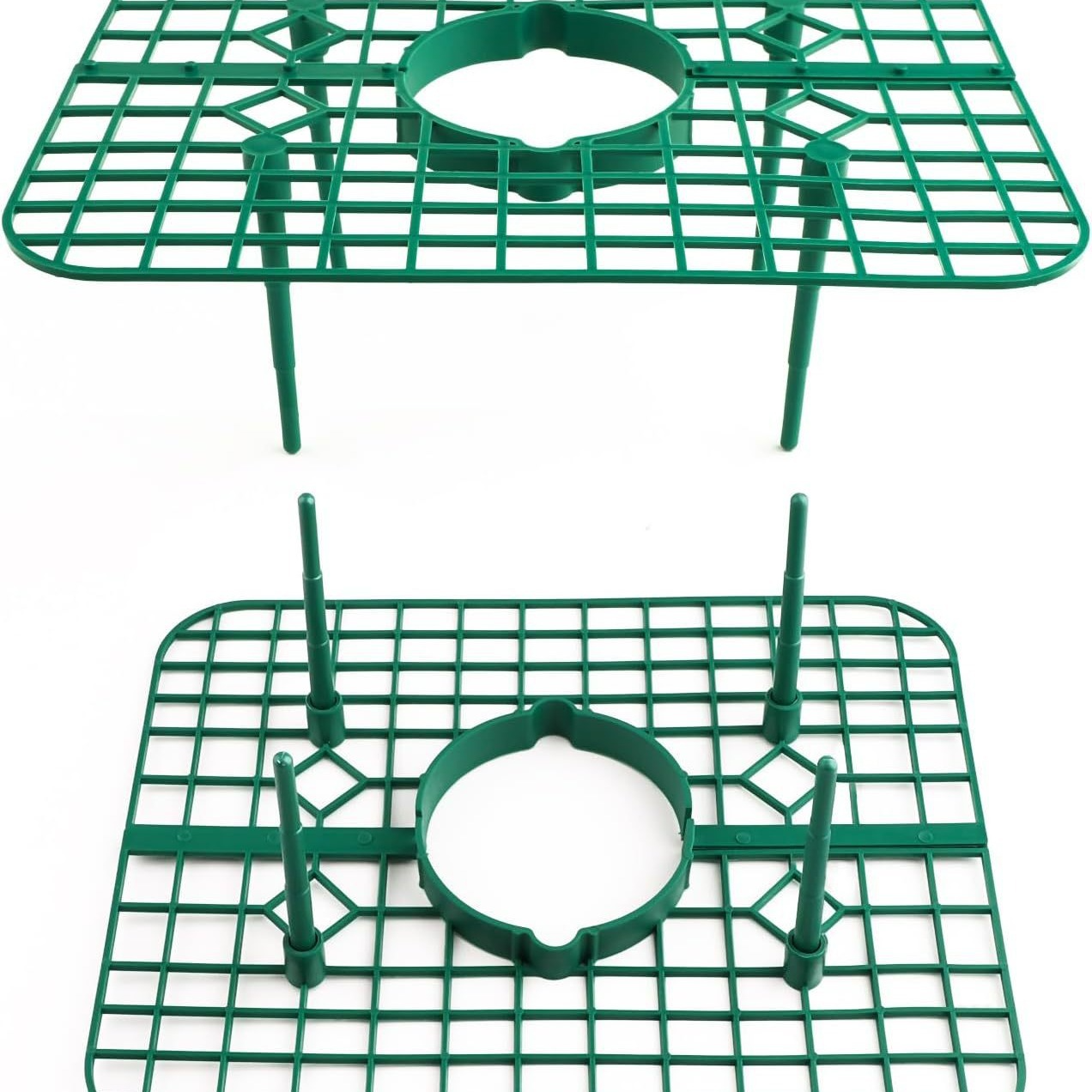 strawberry trellis