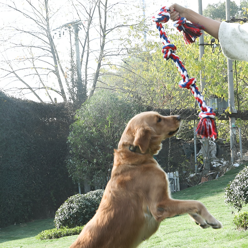 씹기 및 치아 관리용으로 큰 개에게 적합한 삼베 로프