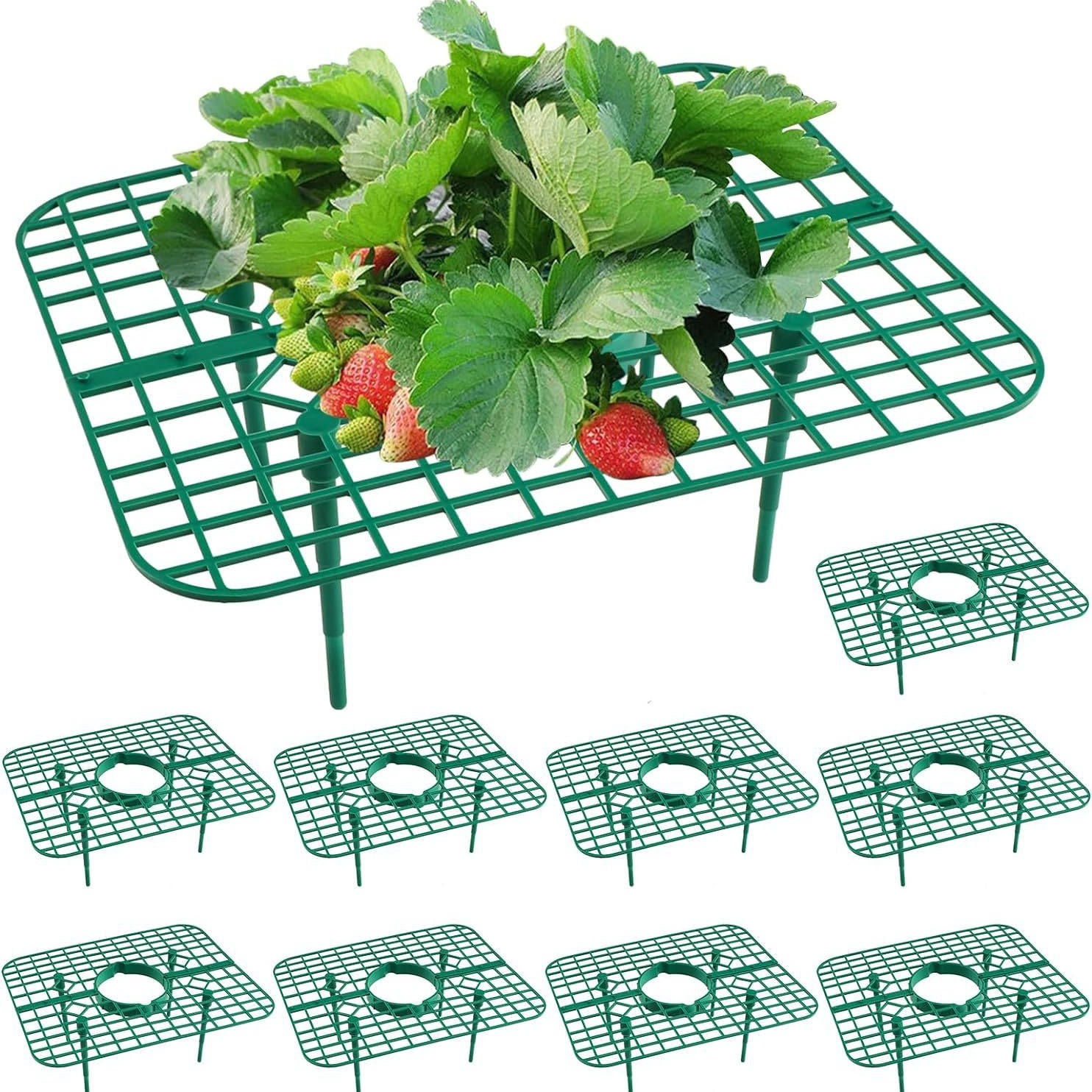 strawberry trellis