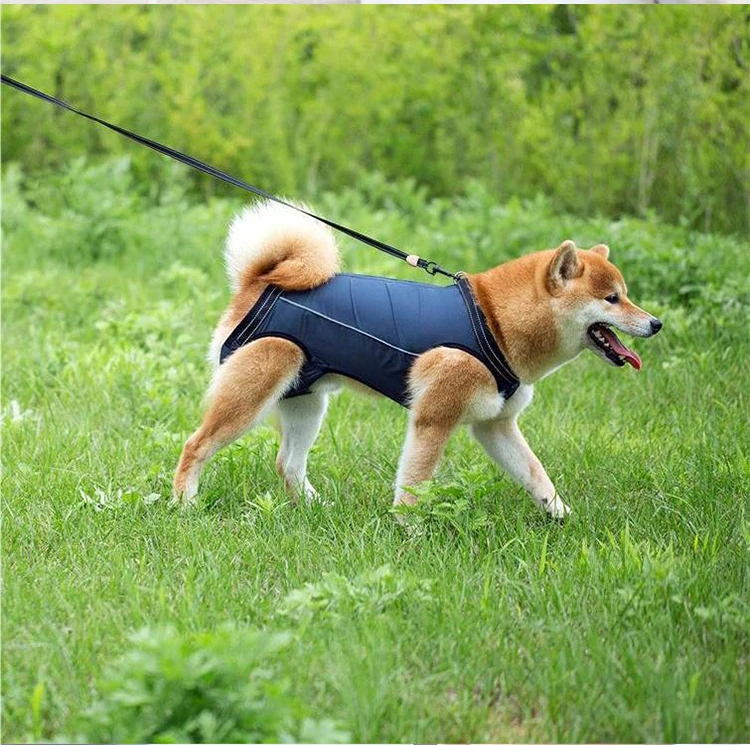 Pet Elderly Disabled Dog Walking Disability Assistance Belt